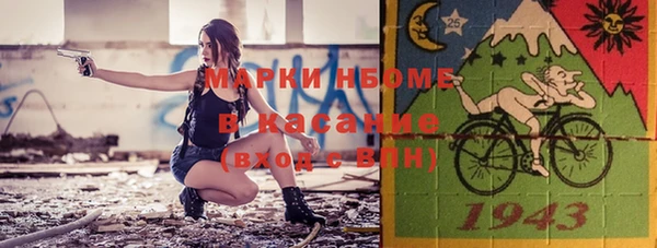 дурь Бородино