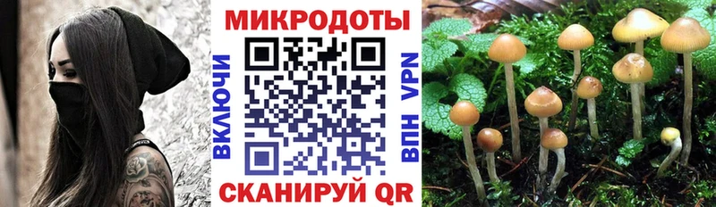 Купить где  Горячий Ключ  Псилоцибиновые грибы GOLDEN TEACHER 